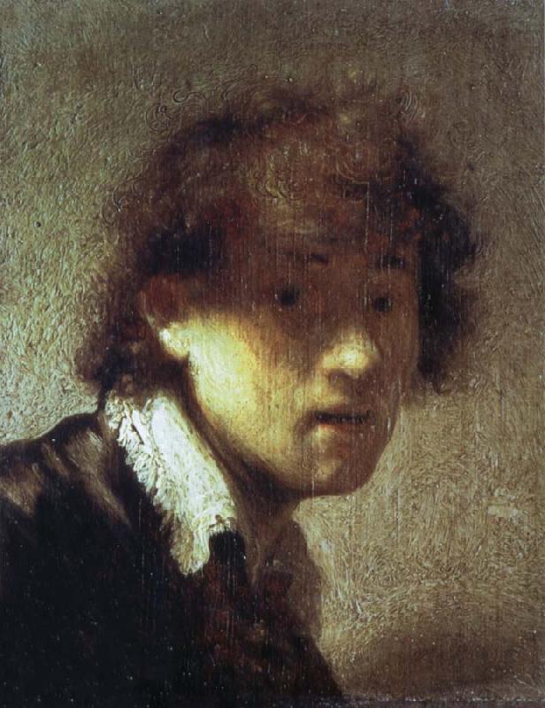 REMBRANDT Harmenszoon van Rijn Self-Portrait as a Young Man china oil painting image